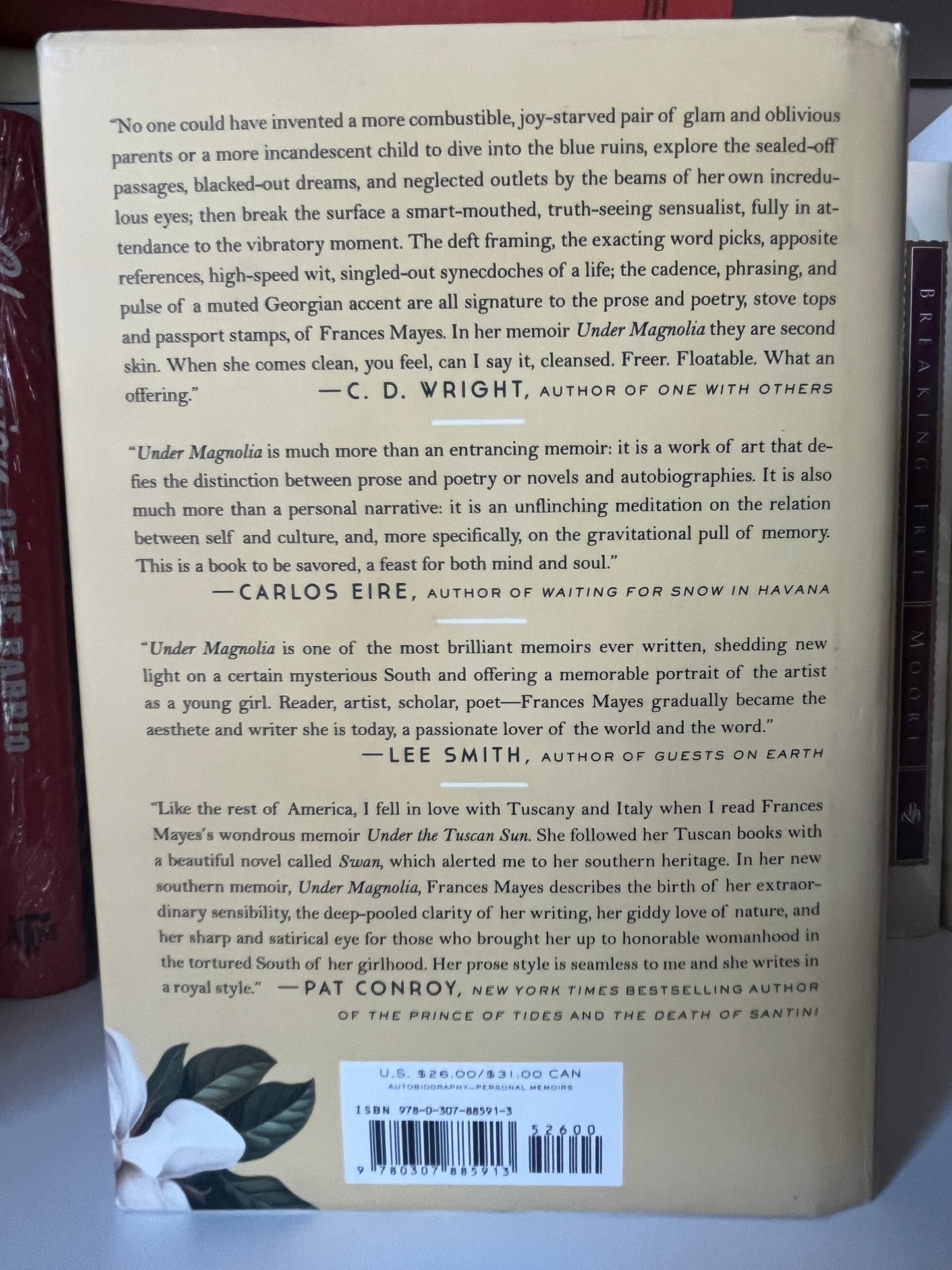 Under Magnolia: A Southern Memoir